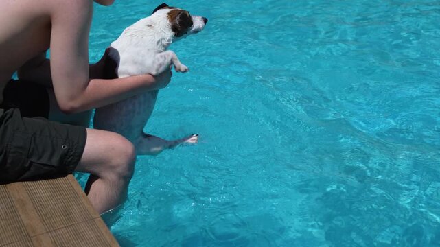 Man holding small Jack Russell terrier dog over swimming pool water.