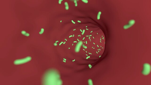 Microbiology green bacterium inside biology structure bg able to loop endless 4k