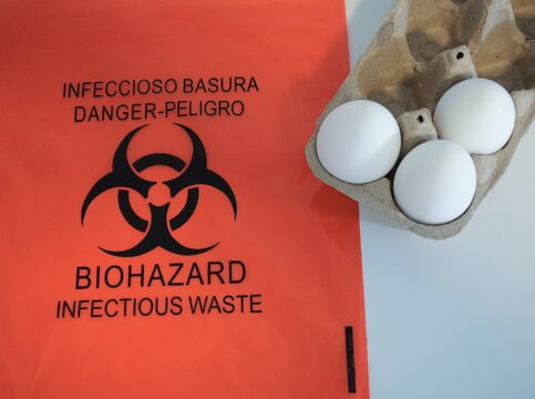Inspector in lab coat and gloves placing eggs in red biohazard bag, representing Salmonella outbreaks, food recalls, and factory farming safety risks