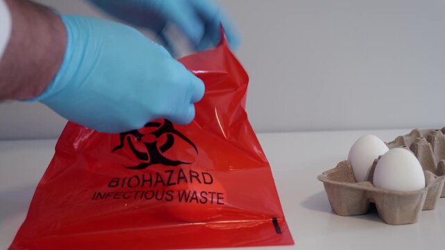 Inspector in lab coat and gloves placing eggs in red biohazard bag, representing Salmonella outbreaks, food recalls, and factory farming safety risks