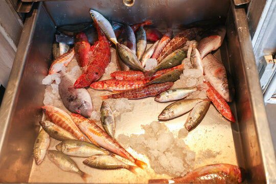 A variety of freshly caught fish rest on ice in Greece, showcasing the vibrant colors and textures of Mediterranean seafood.