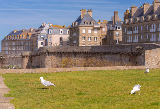 Historic Stone City Walls and Traditional Buildings in Saint Malo France