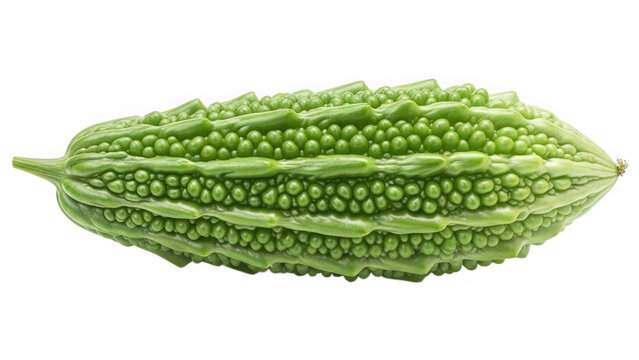 Fresh bitter melon vegetable isolated on a simple bright background isolated on transparent background