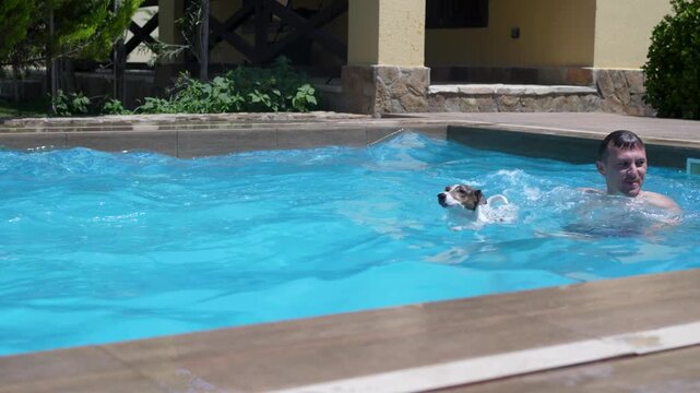 Man and Jack Russell terrier swimming in outdoor pool during sunny summer day