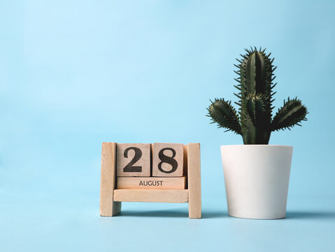 A wooden block calendar for August 28th with a plastic cactus plant on the side on a light blue background.