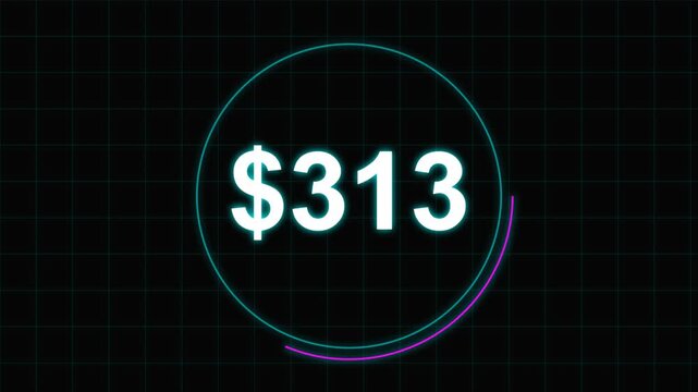 Digital financial display showing the number three hundred thirteen dollars on a dark grid background.