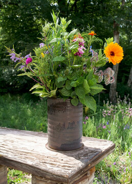 A bouquet of herbs in the garden in summer, freshly picked
