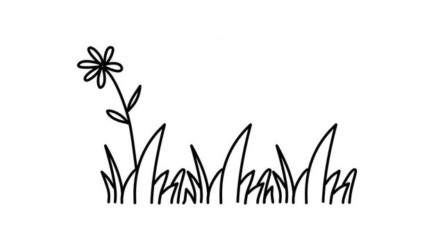 outline flower and grass illustration doodle