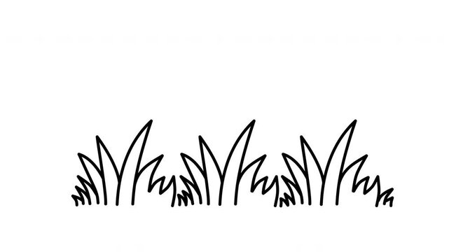 outline flower and grass illustration