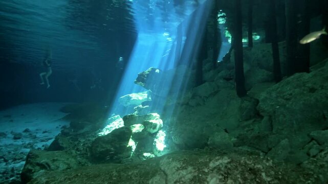 A diver passes through a bright shaft of light among vertical trunks and a rocky floor at Cenote Carwash, Quintana Roo, Mexico.