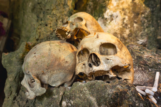 Human skulls with traditional cigarette offerings inside the ancient burial cave of Londa, North Toraja, Indonesia