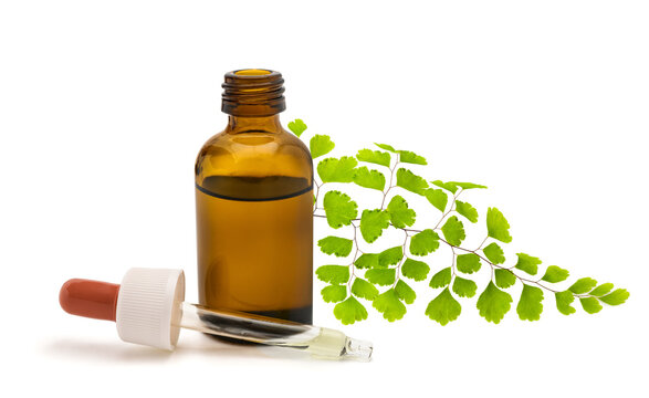 Maidenhair  Branch with Dropper Bottle Isolated on White Background
