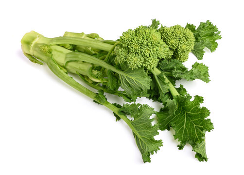 Fresh turnip tops