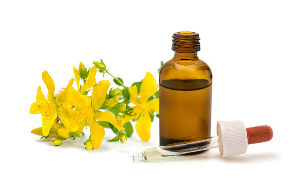 St. John's wort flowers with essence bottle