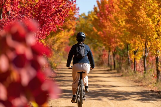 Cycling on a forest trail with a cyclist biking on a bicycle in autumn nature