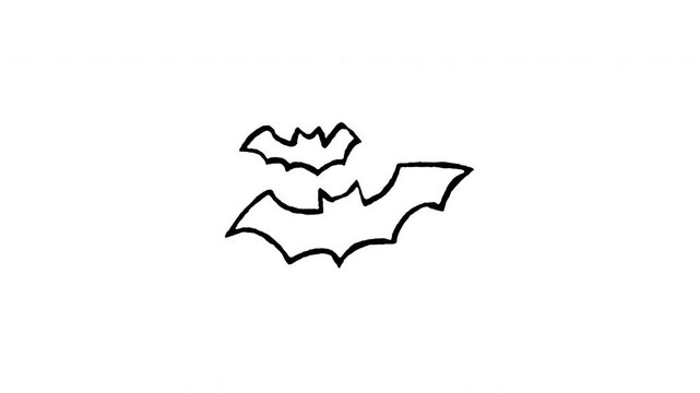 Hand drawn 4K flying bat silhouette doodle animation with boiling line motion. Frame by frame outline on black and green screen backgrounds, perfect for vampire bat flight, spooky night, horror decor.