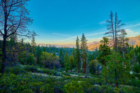 View of Sierra Nevada Mountain from Sequoia National Forest near Hume Lake, CA USA.