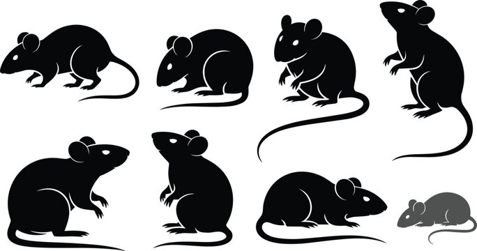 Mouse Silhouette Icon Set Collection with Rat Rodent and Small Mammal Vector Designs