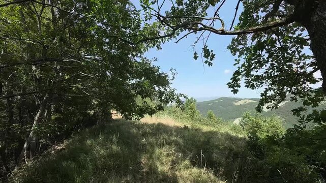 foresta di Cerro