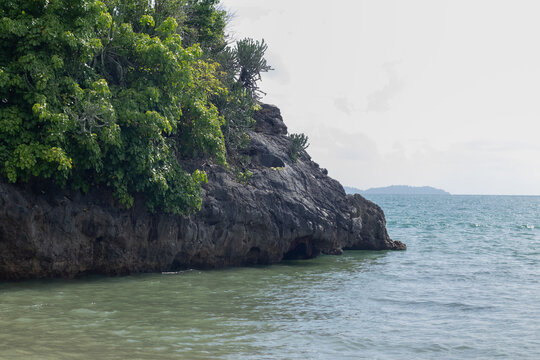 Rocky limestone cliff with green trees by the sea