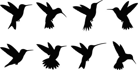 Hummingbird Silhouette Vector Collection for Nature and Decorative Design © AUSTOMI