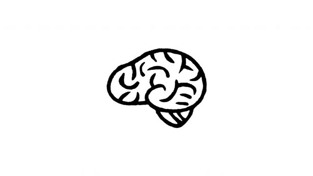 Hand drawn 4K human brain anatomy doodle animation with boiling line effect. Frame by frame outline on black and green screen backgrounds, perfect for neurology organ, intelligence, and mind.