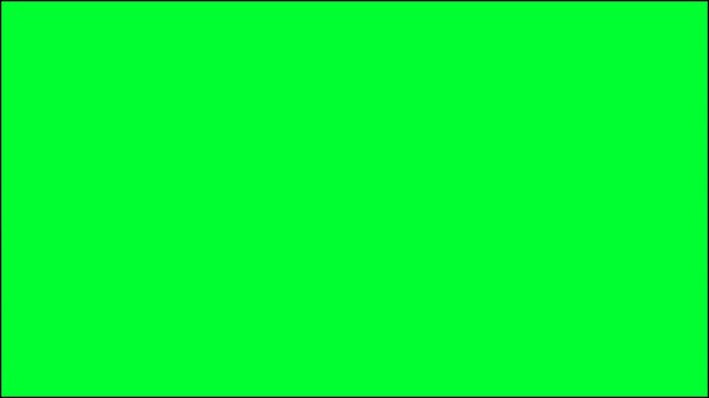 Interactive Web Search Engine Bar Animation with Typing Text, Mouse Cursor Click and Search Button on Green Screen Chroma Key Background