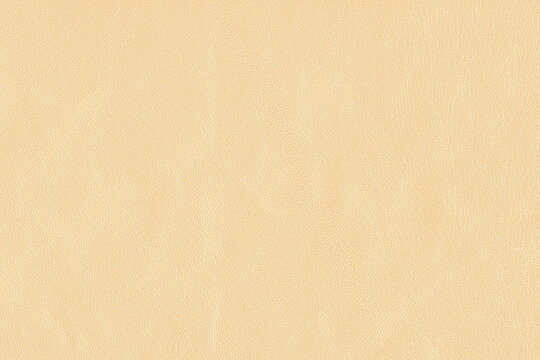 High-quality cream tan color real leather texture large background
