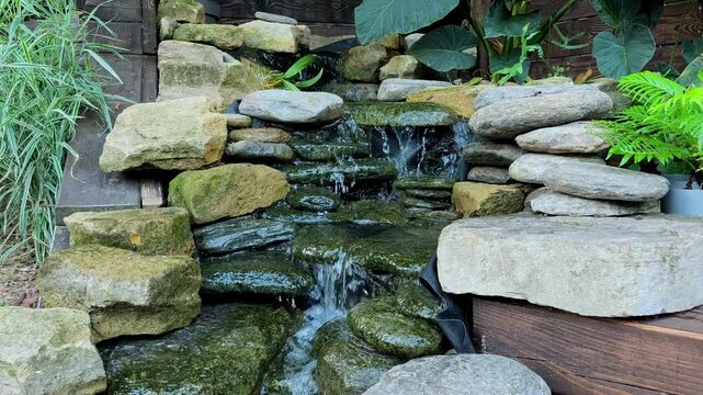 A decorative stone waterfall featuring cascading water and tropical elephant ear plants (Colocasia). Ideal for landscape and garden concepts.