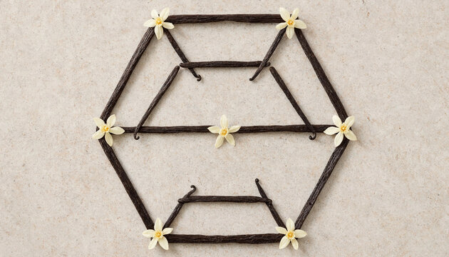A geometric hexagonal pattern created with dried vanilla bean pods and small white vanilla flowers on a light textured stone background surface