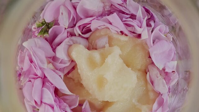 A stunning blooming sequence of flower petals in a serene natural setting, captured in a close-up view.F.