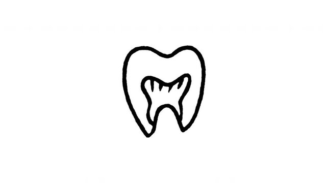 Animated 4K tooth anatomy doodle icon with line boil effect. Hand drawn line art on black and green screen backgrounds for dental care, dentist tooth root, oral health, and hygiene edits.