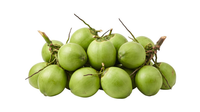 A large cluster of fresh green young coconuts isolated on transparent background for food design projects