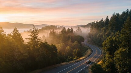Obraz premium aerial view of winding road through misty pine forest at sunrise. golden sunlight filtering through morning fog. car driving on highway. travel, trip. banner, website header with copyspace.