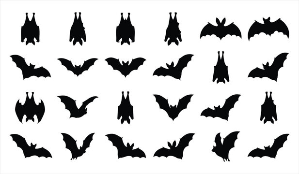 Set of black bat silhouettes in various flying and hanging positions perfect for spooky halloween party decoration design elements