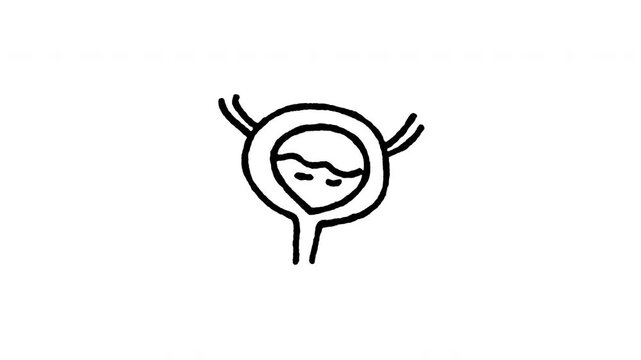 4K hand drawn urinary bladder icon featuring boiling line animation. Frame by frame line art on black and green screen backgrounds for urology organ, urinary tract health, internal body edits.