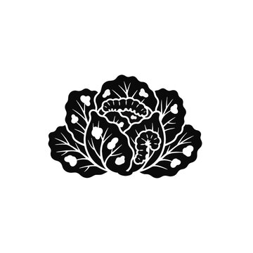Black silhouette of cabbage with holes in leaves
