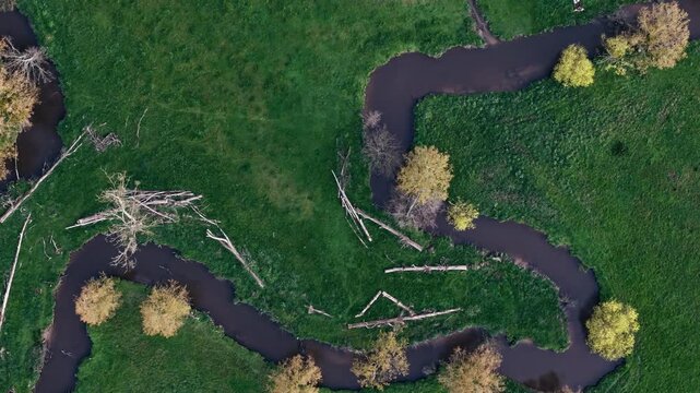 Close top down drone view of meandering river bends in green rural landscape. Natural waterway pattern in Normandy countryside