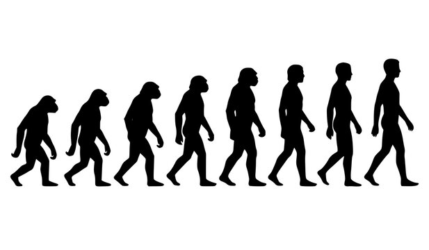 Human evolution sequence silhouette vector illustration from ape to modern man