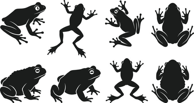 Solid silhouette vector frog collection, toad jumping and sitting shapes, tropical amphibian icons, pond wildlife elements for nature design, black icons.