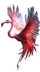 Fototapeta premium Dark Flamingo Faerie Illustration Magical Decorative Design Asset Isolated to Transparent Background