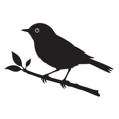 Obraz premium Robin Silhouette Black Vector Illustration Perched Songbird Profile