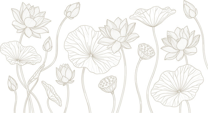 Elegant lotus flower vector line art banner illustration with water lily blossoms buds and pads on isolated white background for spa and wellness design