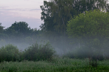 Mglisty poranek w naturze © Miszli