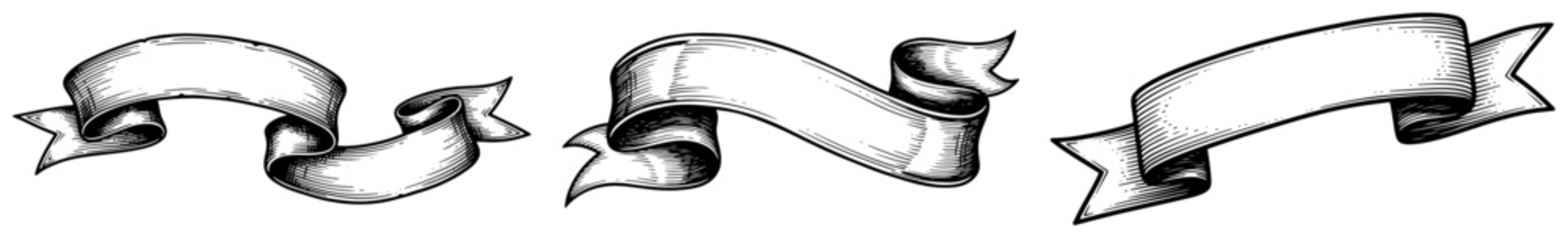 Ribbon banners and scrolls set in classic hand drawn engraving style