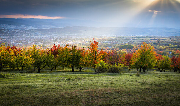 beautiful autumn landscape with colorful trees