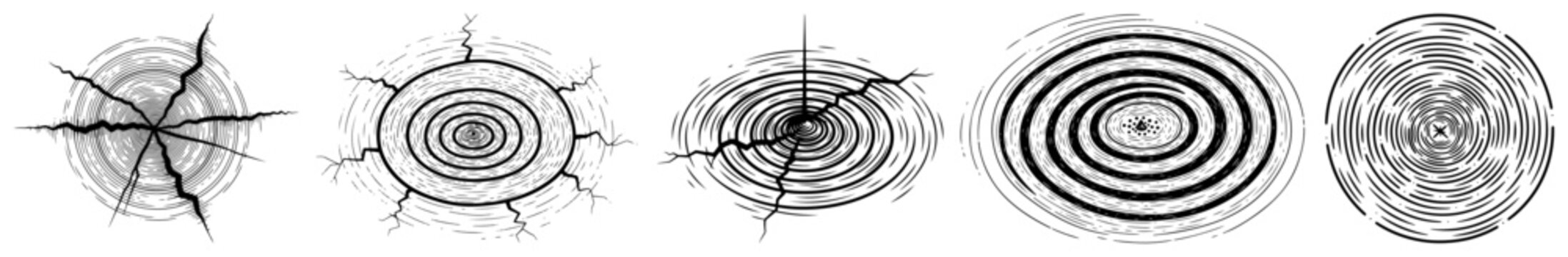 Concentric circles and tree ring patterns set in vintage hand drawn engraving style
