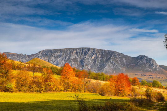 amazing autumn landscape with colorful trees