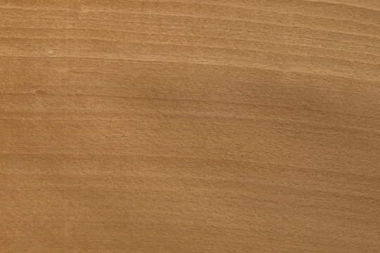 Steamed beech wood texture background