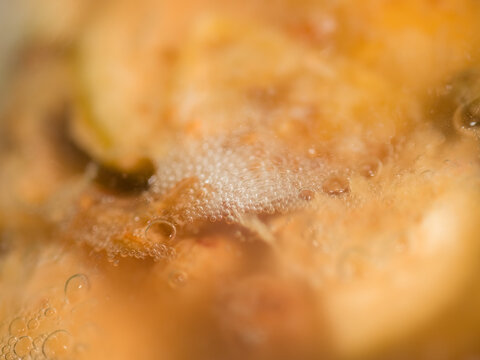 Close-up View of Bubbles in a Drink 